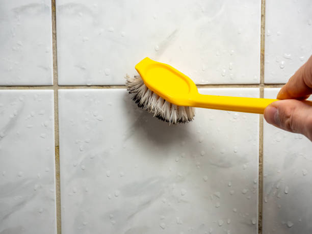 Reliable Bladenboro, NC Mold Removal Solutions